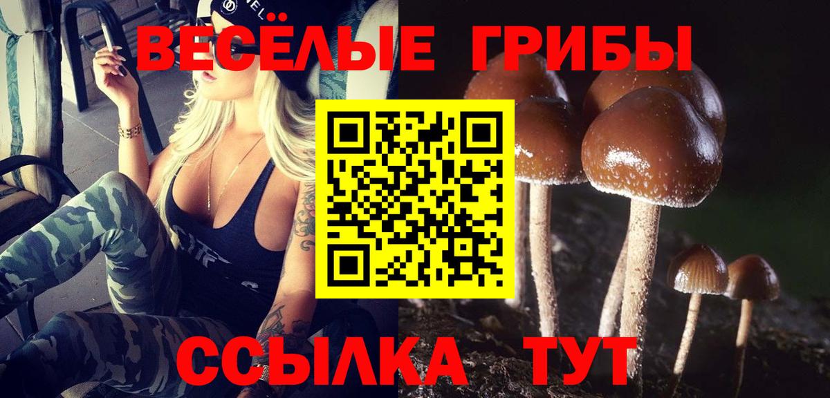 Галлюциногенные грибы ЛСД  Вход с VPN  Рузаевка  Галлюциногенные грибы Cubensis 